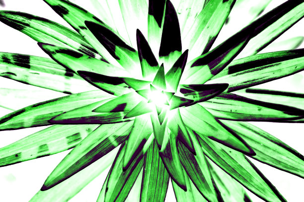 水彩烟花在纸上。抽象的彩色图像上什么人的纸。用画笔画的想象的星形花。艺术背景。彩色图片上的白色画布。生动的草图与复制空间。图片下载