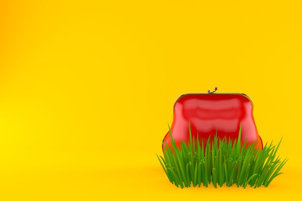 钱包在草地上图片下载