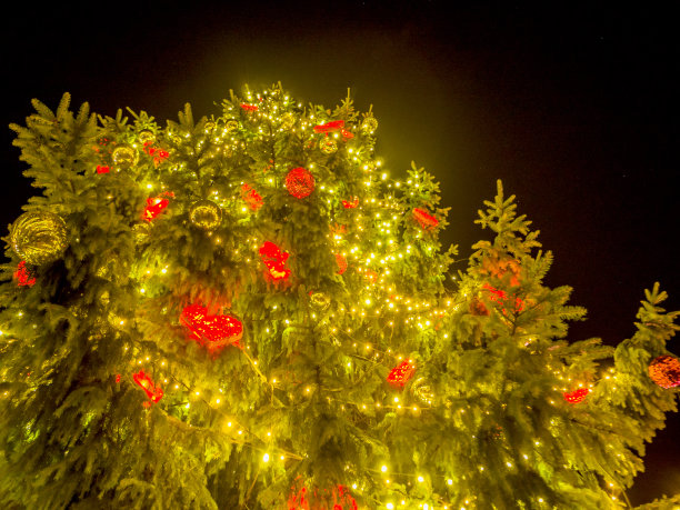 小镇广场上的圣诞树图片下载