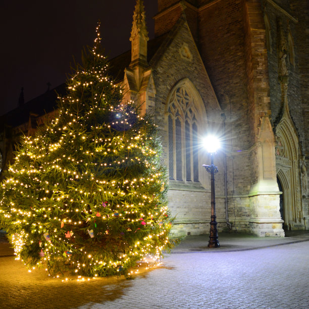 老教堂和圣诞树之夜图片下载