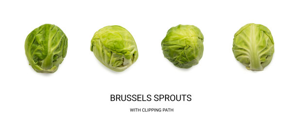 绿球芽甘蓝孤立图片下载