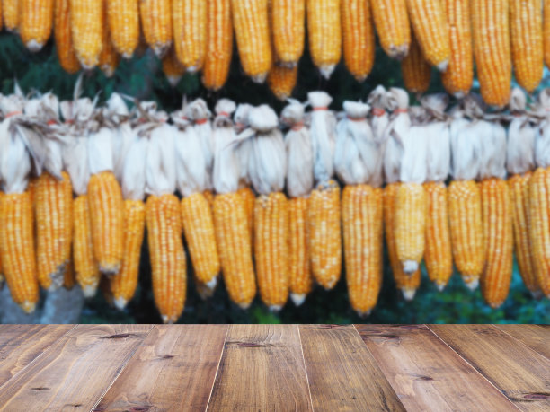 木制桌面，背景是黄色的干玉米。图片下载