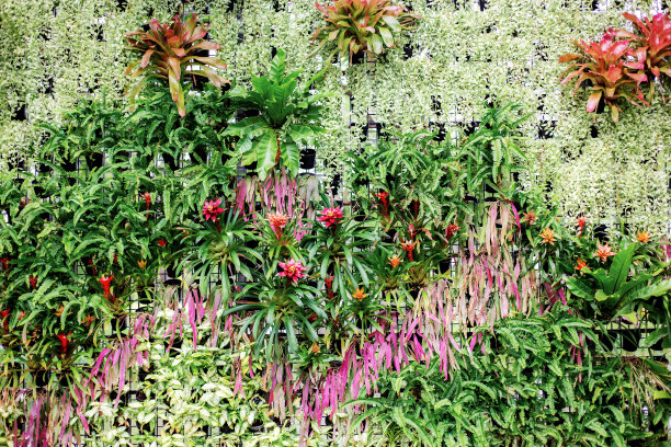 许多带背景的花。图片下载