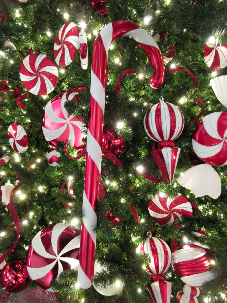 圣诞树上的糖果圣诞饰品图片下载