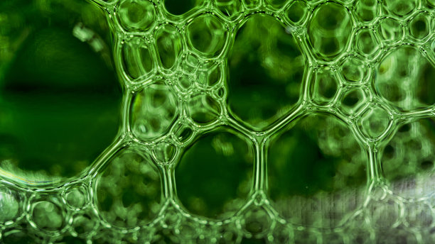 香槟泡沫，香槟瓶，酒精，饮料，派对图片下载