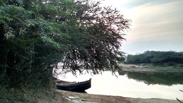 戈达瓦里河岸图片下载