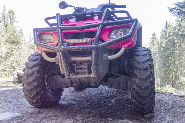 森林中的红色四轮自行车，特写，正面视图图片下载