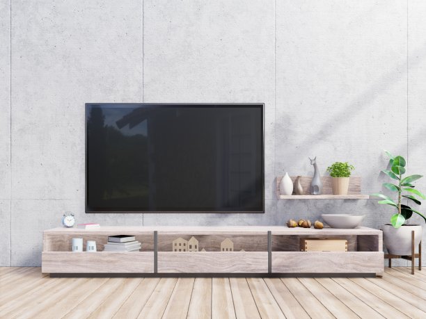 电视柜在现代客厅，灯，桌子，花和植物图片下载