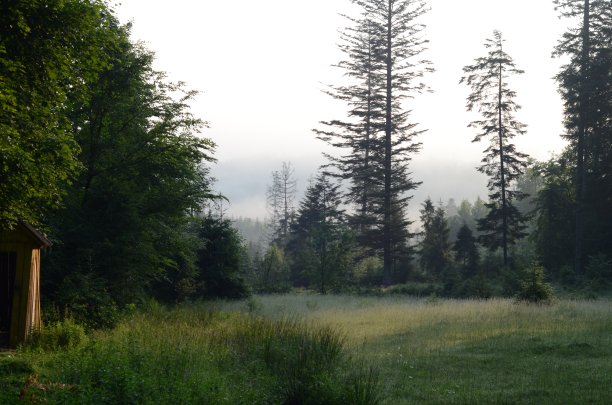 山景观图片下载