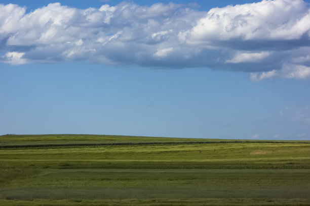 绿色的田野在阳光明媚的日子与蓝天和蓬松的云图片下载
