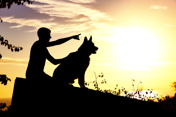 一个年轻人的剪影与狗在日落的田野，男孩与他的宠物享受自然，男孩的侧面看向远处，积极的休闲概念图片下载