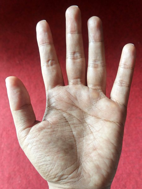 张开的手图片下载