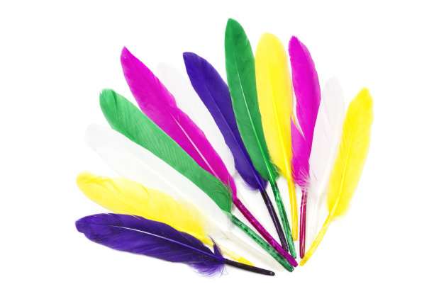彩色的羽毛图片下载