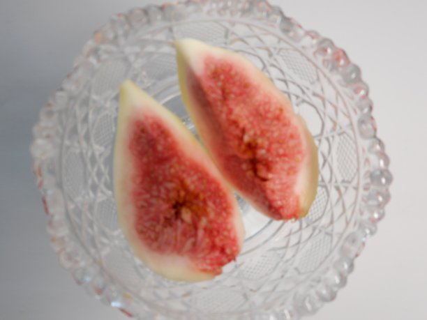 无花果的果实。图片下载