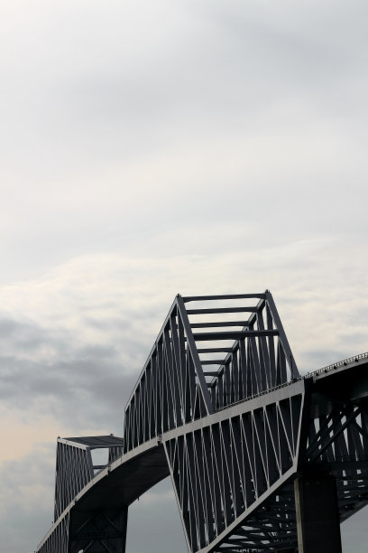 统一的东京门大桥的冷色图片下载