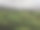 乡村景观，背景是等待收割的玉米田，无人机俯视图航拍照片。图片下载