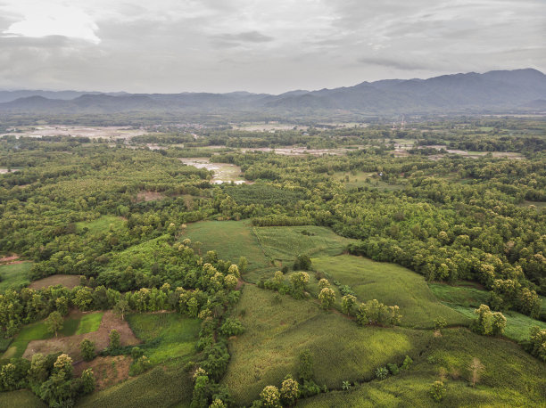 乡村景观，背景是等待收割的玉米田，无人机俯视图航拍照片。图片下载