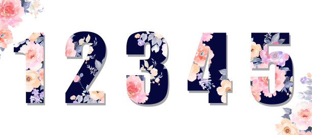 美丽的水彩玫瑰，牡丹花和数字图片下载