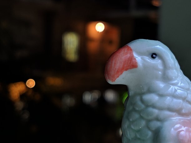 Bokeh拍摄谷歌像素的夜视和超级分辨率变焦图片下载