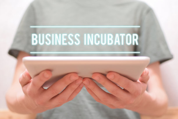企业孵化器-手握数码平板电脑的人图片下载