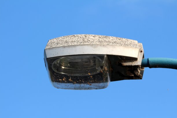 大型路灯包裹在金属外壳上，上面覆盖着许多昆虫，背景是清澈的蓝色天空图片下载