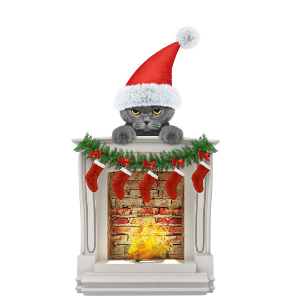 可爱的猫靠近壁炉。孤立在白色图片下载