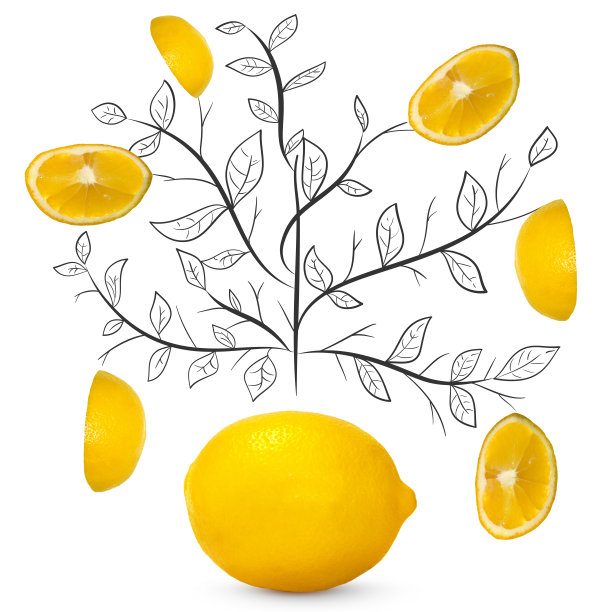 水果组成与新鲜柠檬和卡通可爱的涂鸦元素在孤立的白色背景。创意简约的食物概念。图片下载