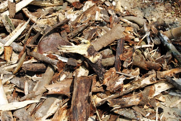美丽的库存照片的一束木头切割碎片为木柴。用来取暖的柴火堆。木屑图案园艺柴火。印度奥里萨邦，人们用来做饭图片下载