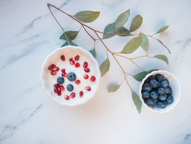 现代和健康的生活方式-酸奶和水果碗与桉树在大理石桌子上图片下载