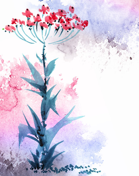 水彩花卉插图图片下载