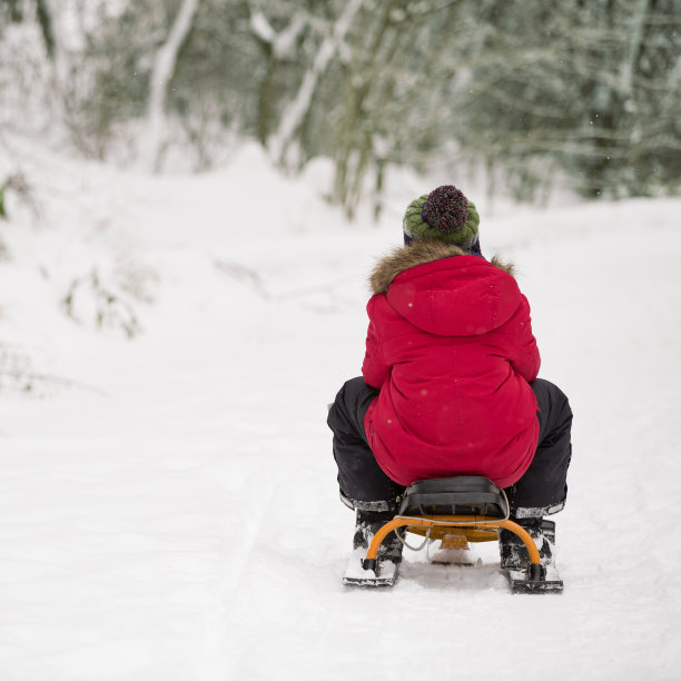 在削减的孩子男孩滑下山坡在冬天的森林里的雪地摩托车和玩雪的乐趣。孩子在户外玩。生活方式的概念图片下载