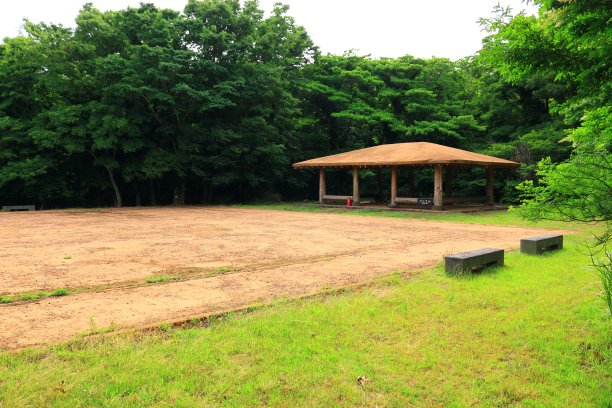 京来自然休养林，野营所，树林图片下载