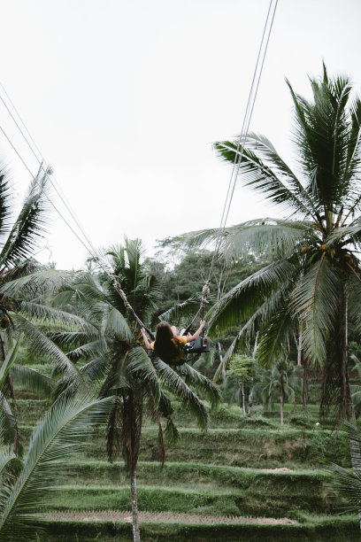 在巴厘岛的梯田上荡秋千的女人图片下载