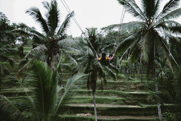 在巴厘岛的梯田上荡秋千的女人图片下载