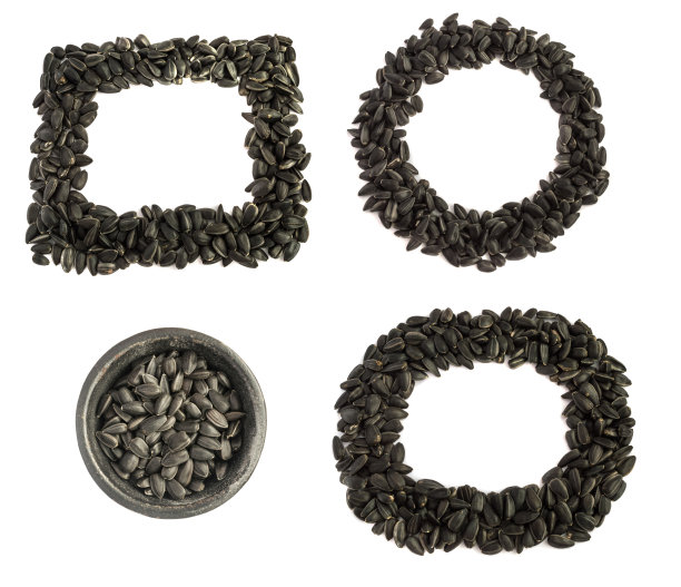 孤立的黑葵花籽框架图片下载