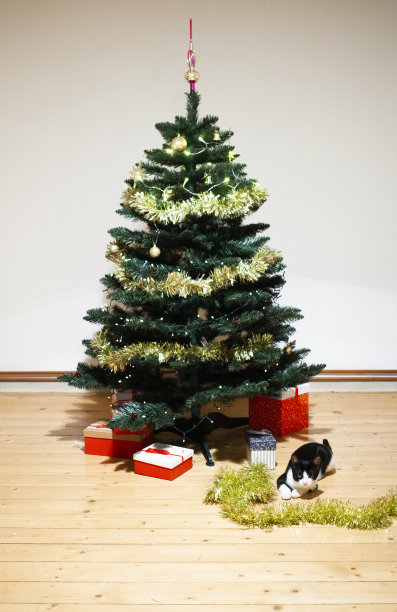 圣诞树下的黑猫图片下载
