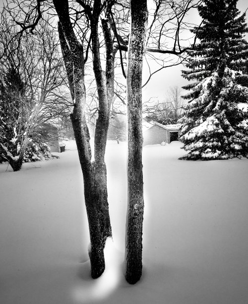 冬季自然图片下载