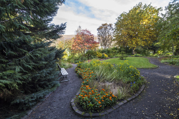 冰岛北部，阳光明媚的阿库雷里植物园图片下载
