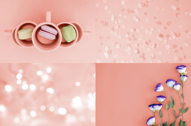 2019年活珊瑚的彩色照片拼贴画。图片下载