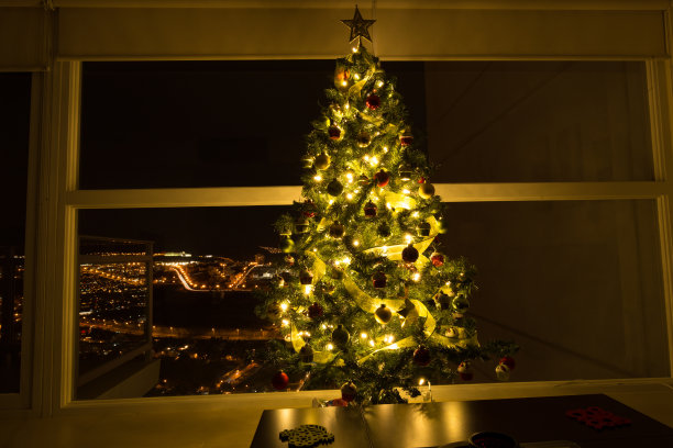 圣诞树。图片下载