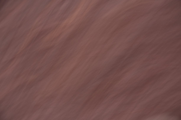 米色纹理在秋季田野上用长时间曝光技术图片下载