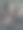 撒了种子的毛茸茸的草顶在微风中跳舞图片下载
