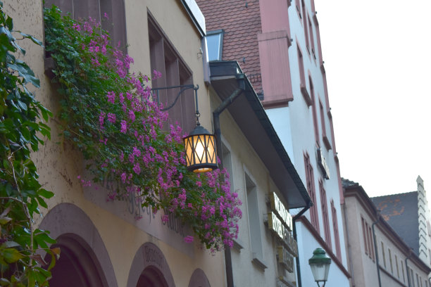 房子的一部分装饰着鲜花图片下载