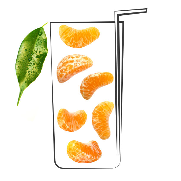 水果构成与新鲜的普通话和卡通可爱的涂鸦元素在孤立的白色背景。创意简约的食物概念。图片下载