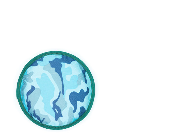 狗玩具孤立在白色背景。宠物玩具配件概念。图片下载