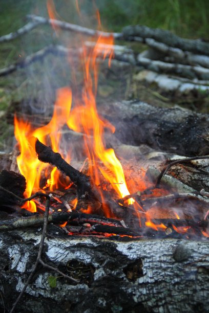 在森林里野餐图片下载