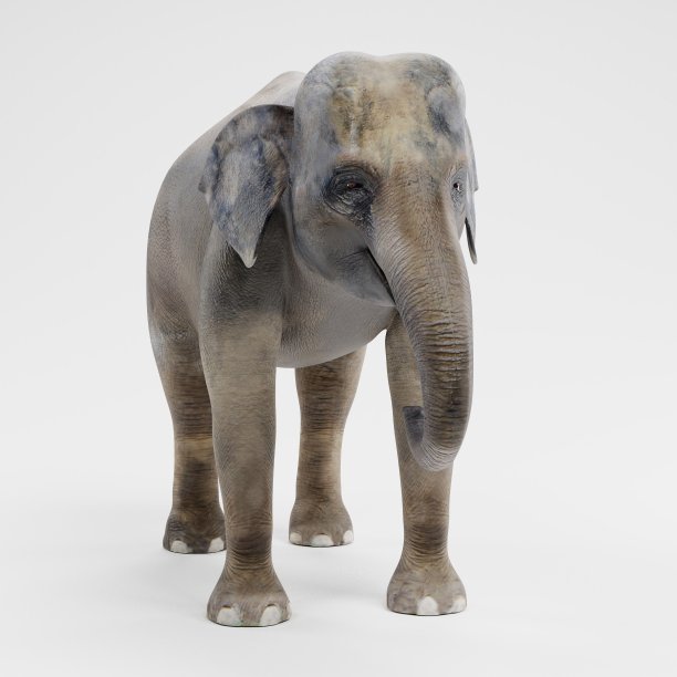 逼真的亚洲大象的3D渲染-女性图片下载