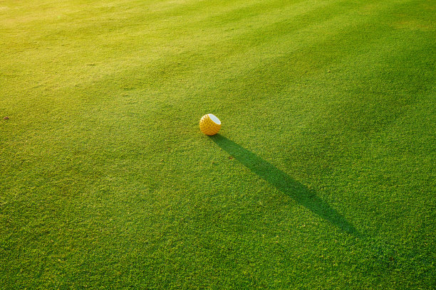 绿色草地和高尔夫球封闭的自然背景或纹理图片下载
