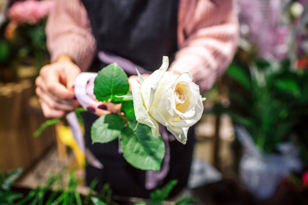 花商手里拿着一朵白玫瑰的照片。女人站着，系着黑色围裙。她在一个摆满植物的房间里。图片下载
