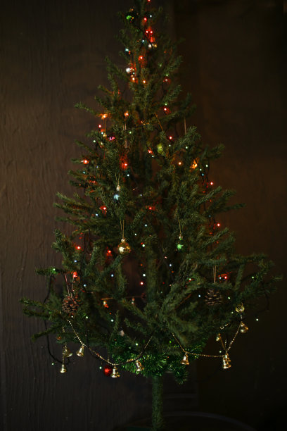 绿色圣诞树图片下载